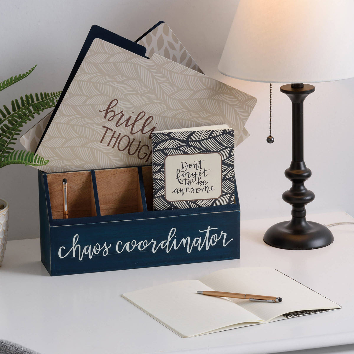 Chaos Coordinator Desk Set