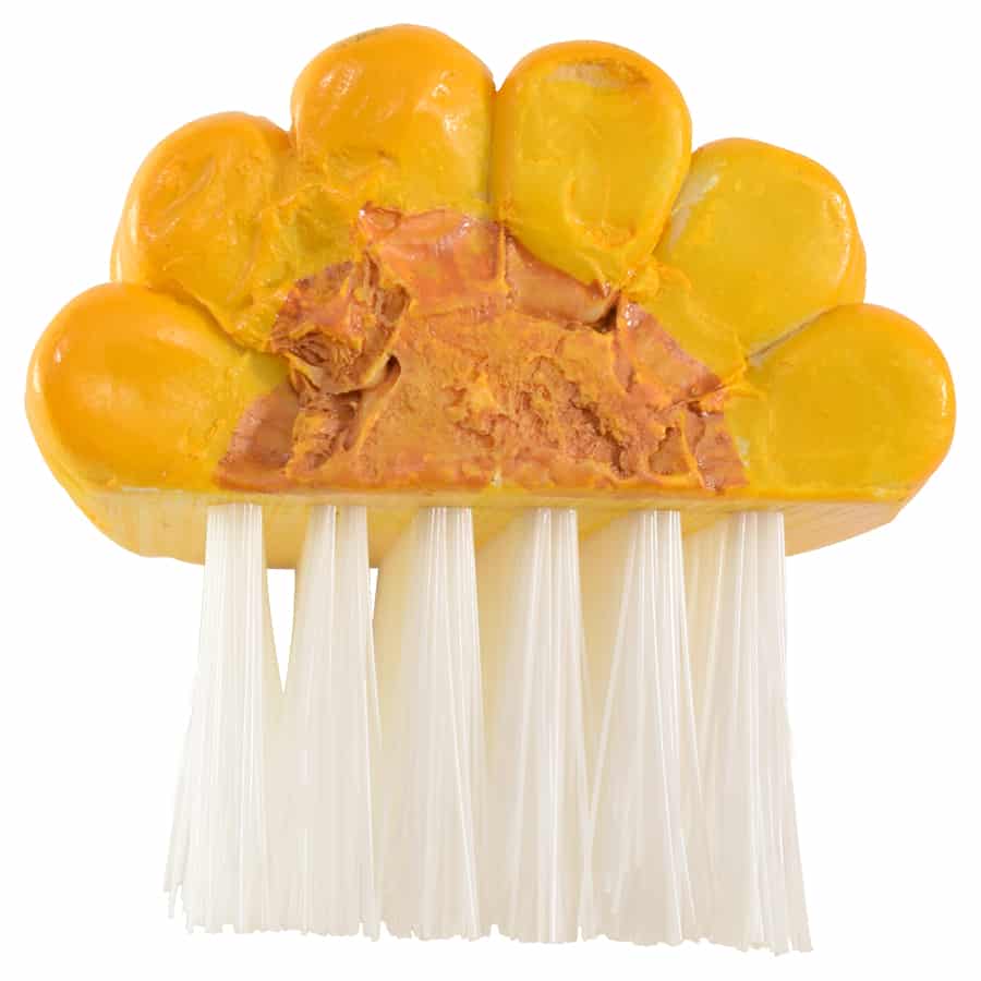 Vegetable Brush Corn